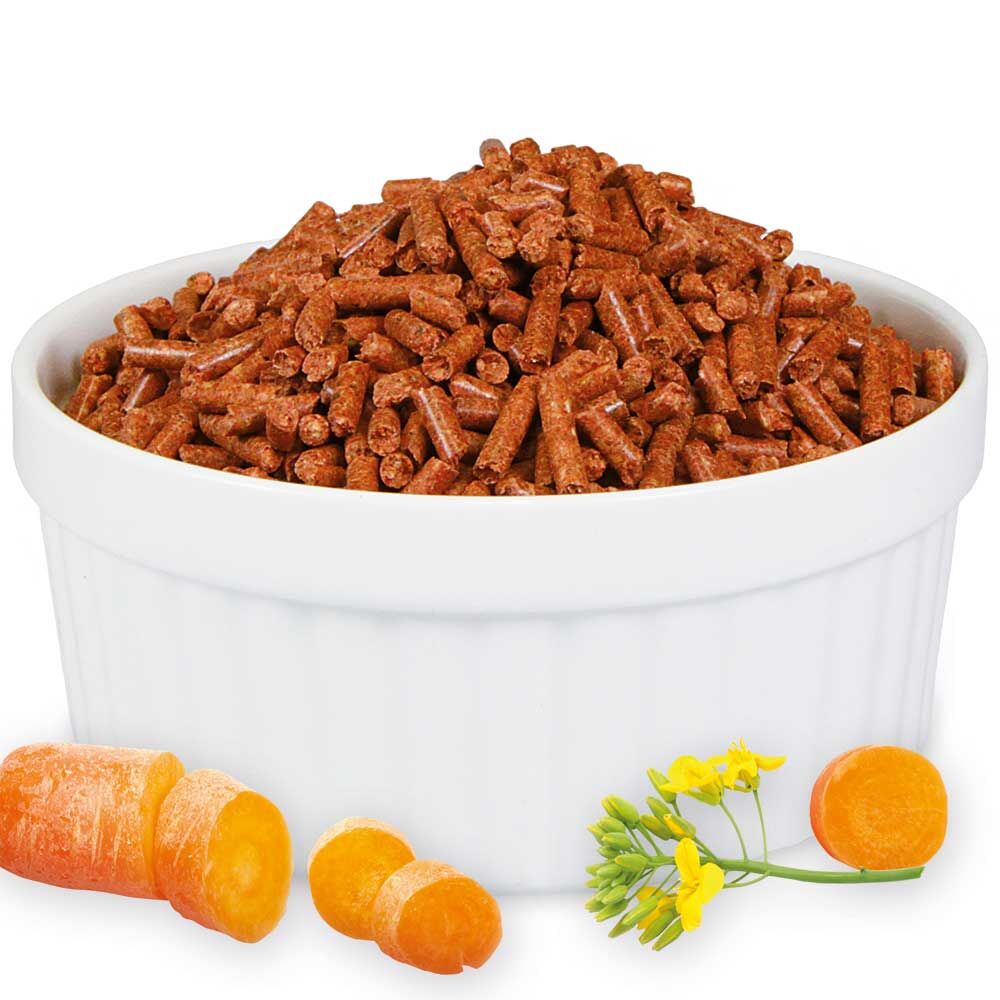 Trocken-Karotten-Granulat Bild 2