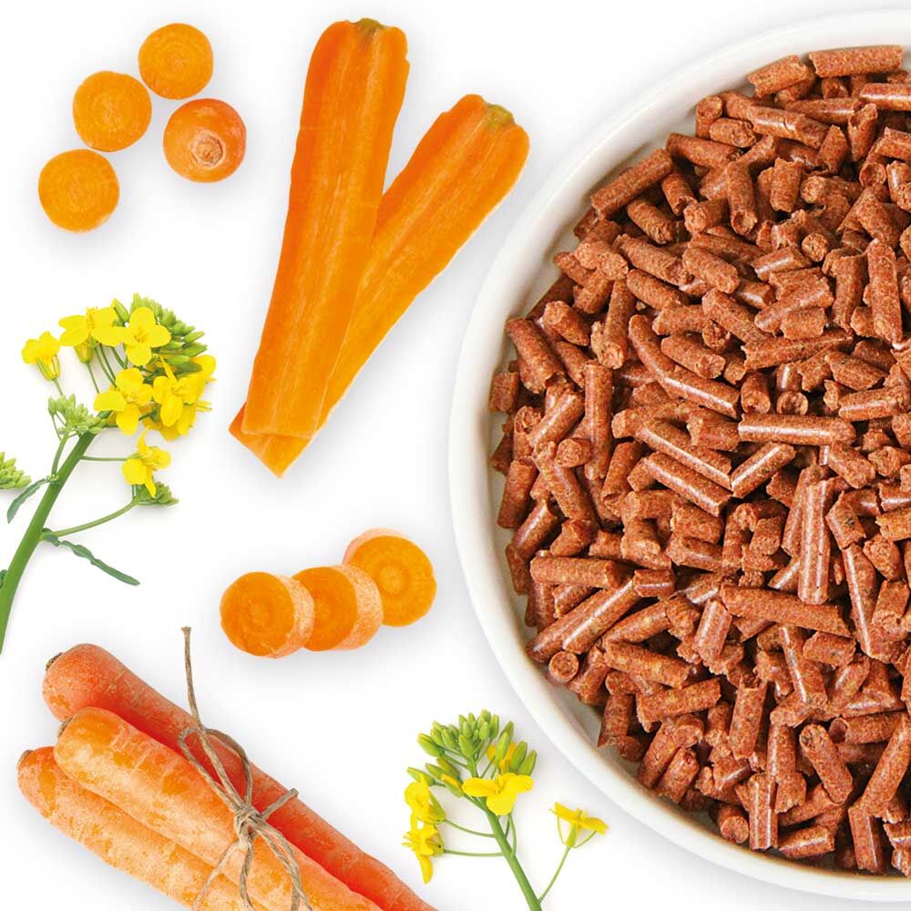 Trocken-Karotten-Granulat Bild 5