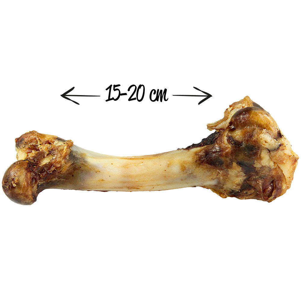 Lammknochen - getrocknet Bild 2