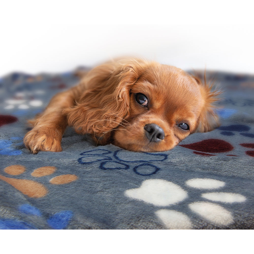 Hundedecke Lissi, Größe: 100 x 75 cm Bild 5