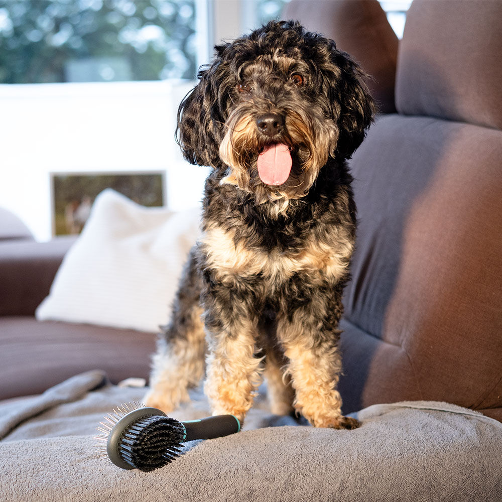 ANAH Hunde-Doppelbrste Bild 4