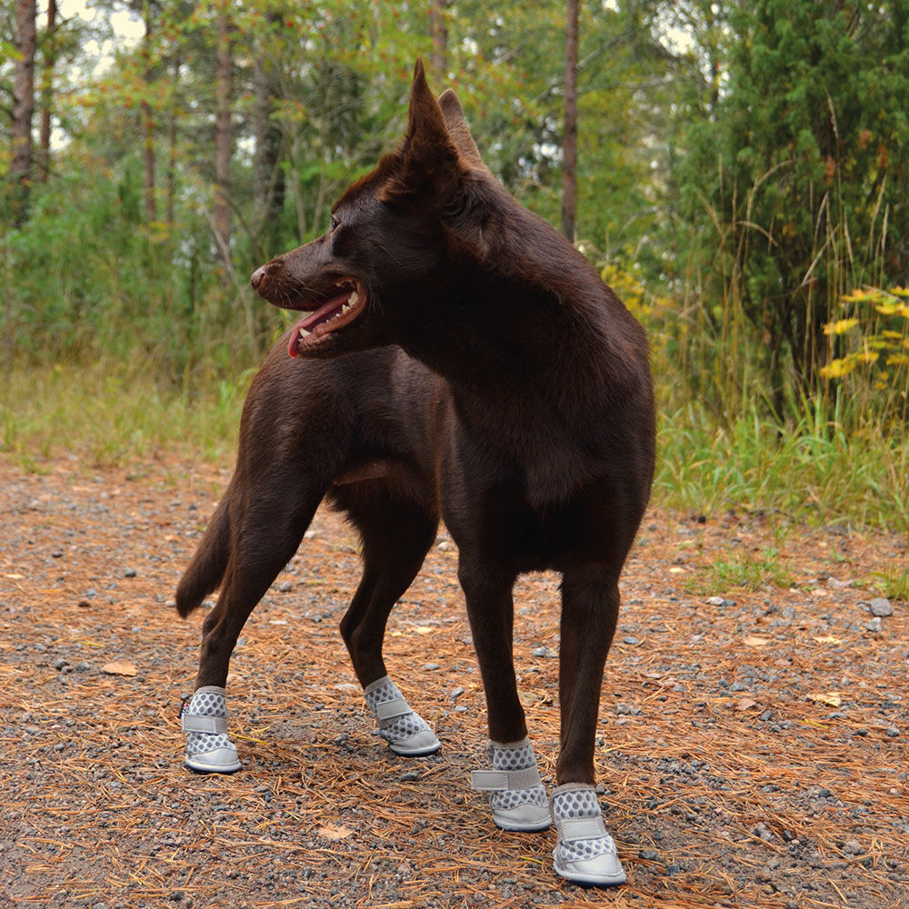 Rukka Pets Hunde-Sommerschuhe Bild 2