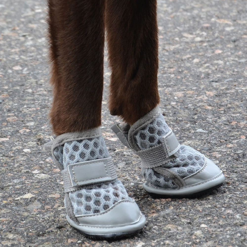 Rukka Pets Hunde-Sommerschuhe Bild 4