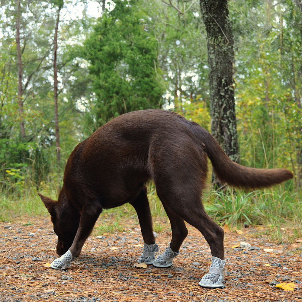 Rukka Pets Hunde-Sommerschuhe Bild 5