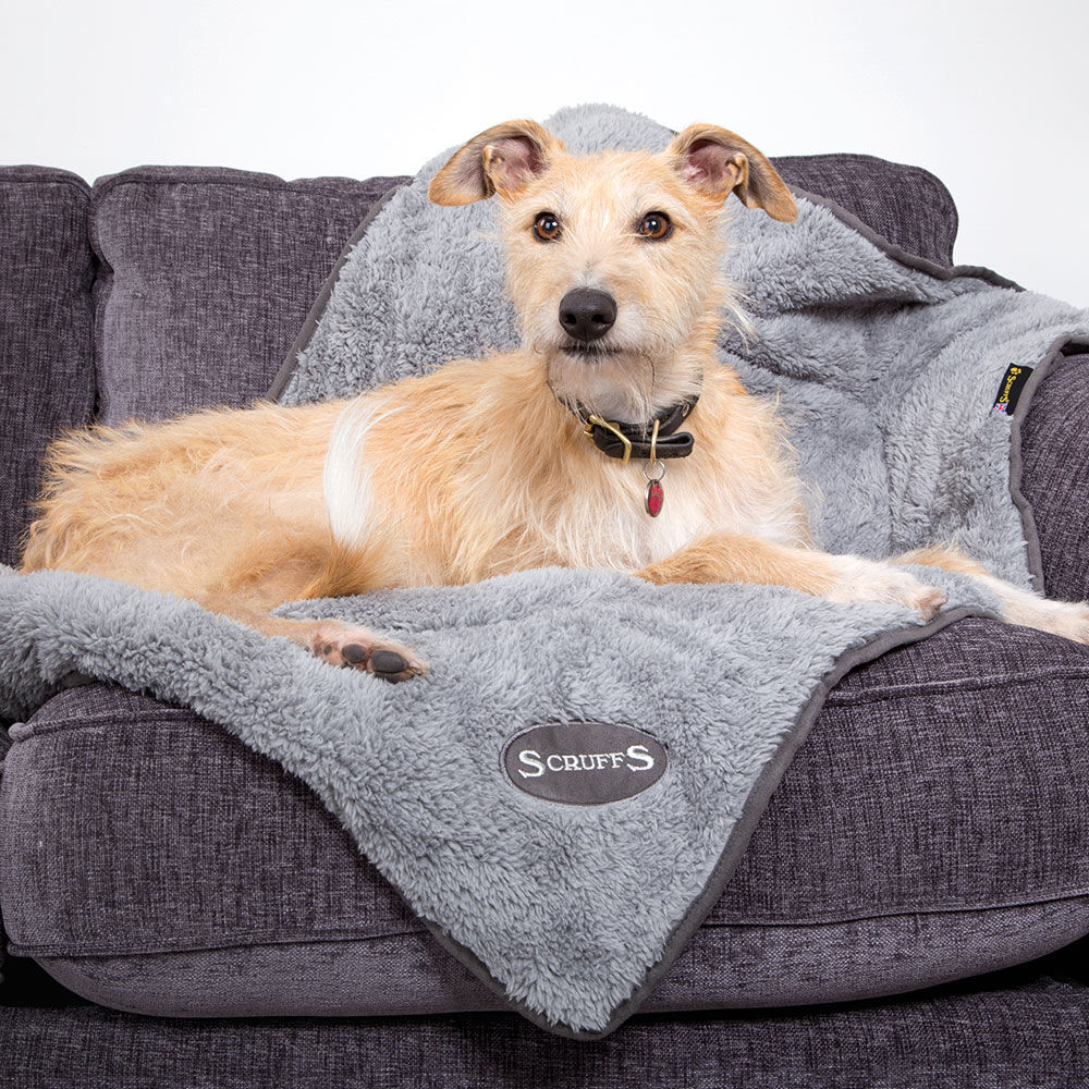 SCRUFFS® Cosy Hundedecken