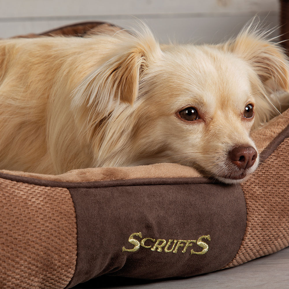 SCRUFFS Chester Box Bett - Chocolate - Bild 4