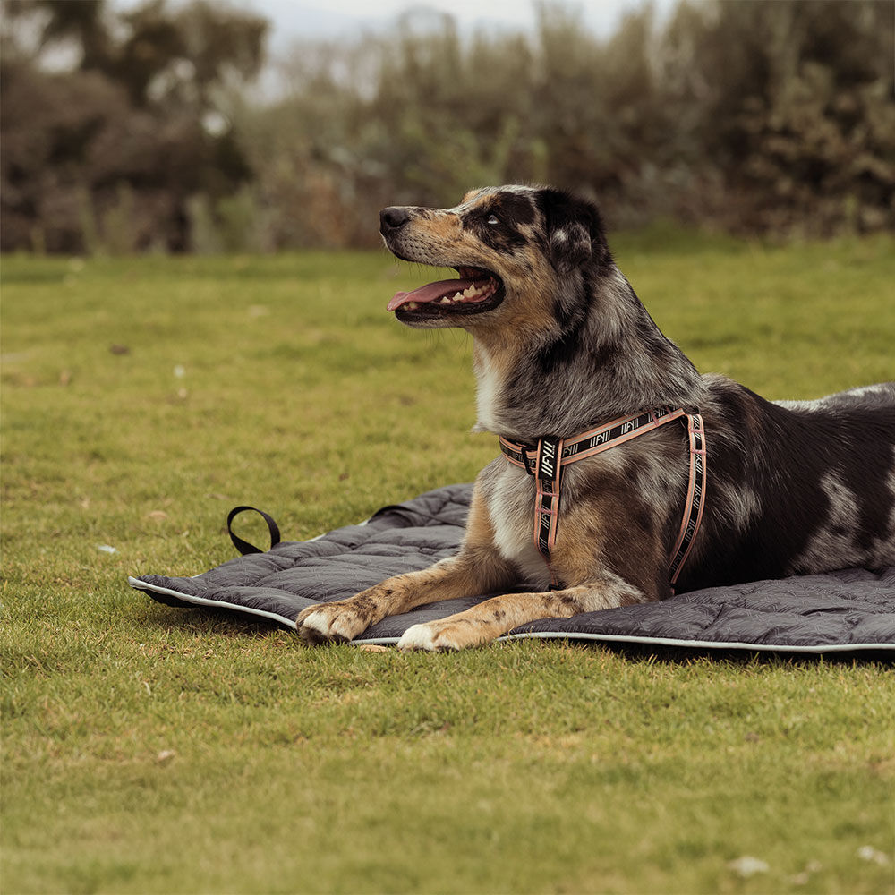 FuzzYard Active Roll-Up Hunde-Reisematte Bild 4