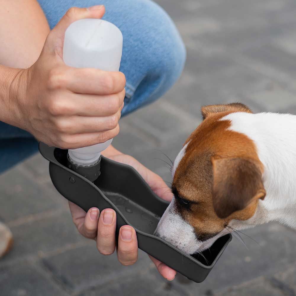 Handi drink 2 dogs shop