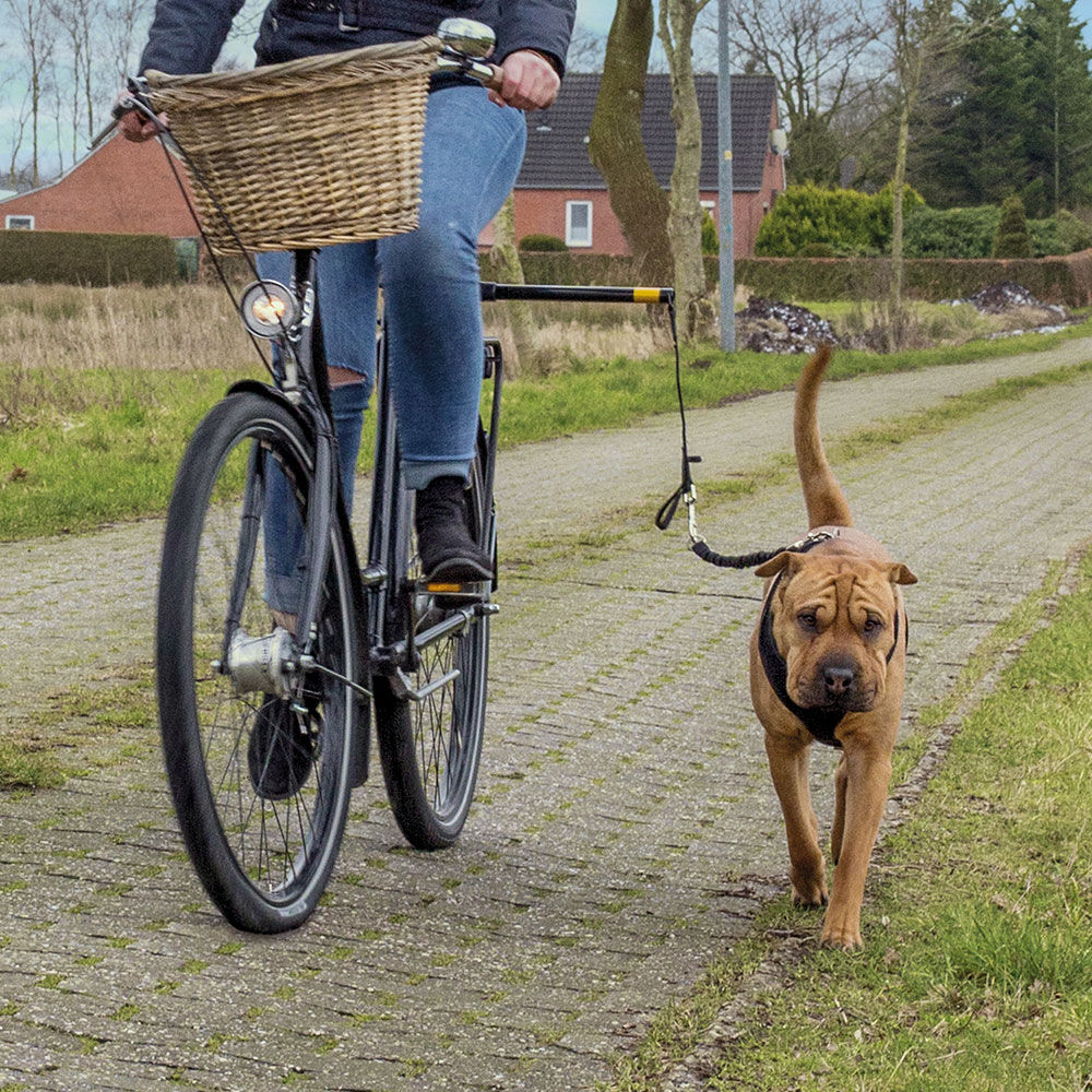 Hunde Fahrradhalter Doggy Biker Set. Schecker.de