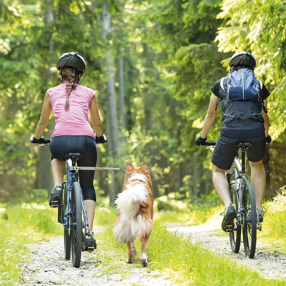 Walky dog deals plus