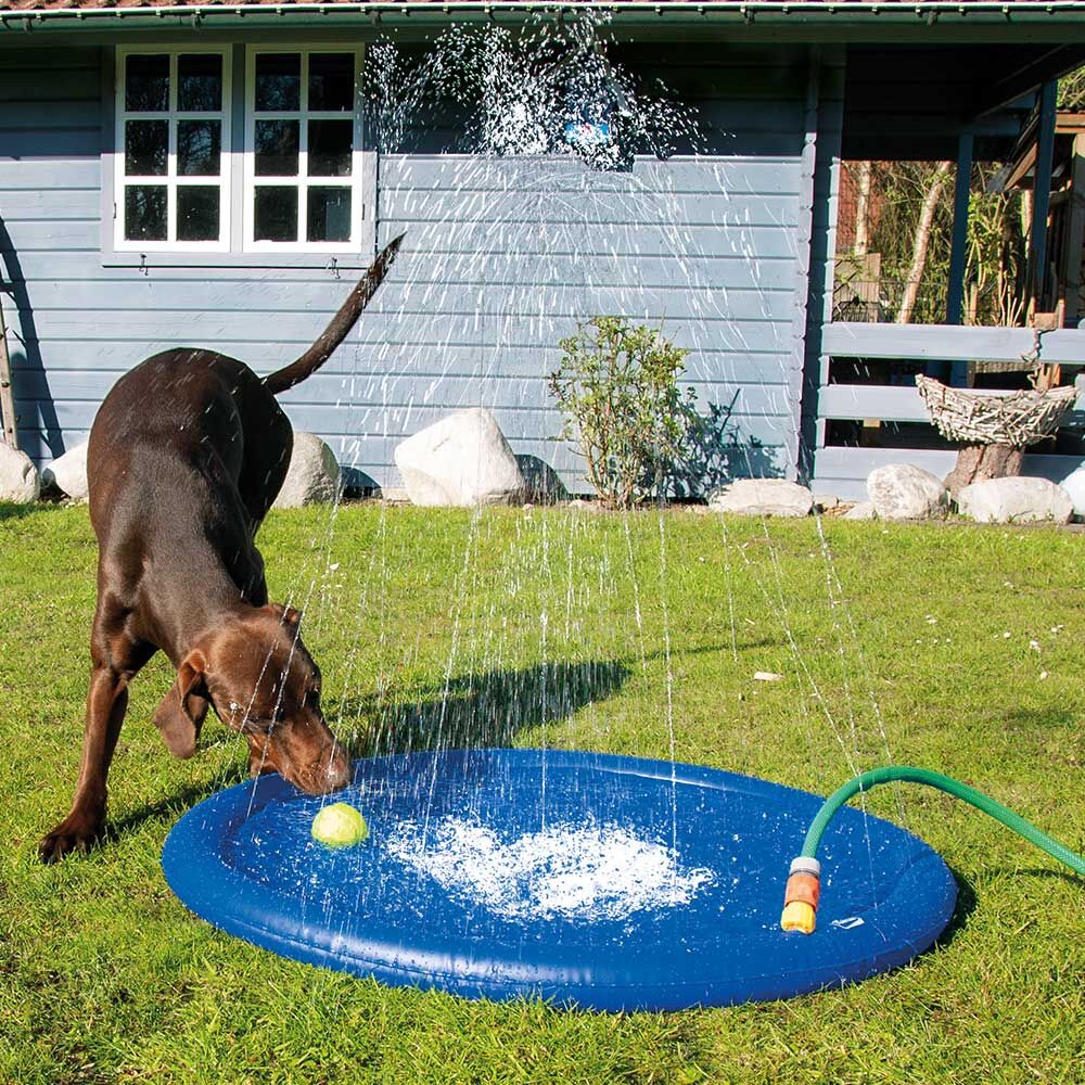Hunde-Wasserspielmatte Splashy Mat Bild 2