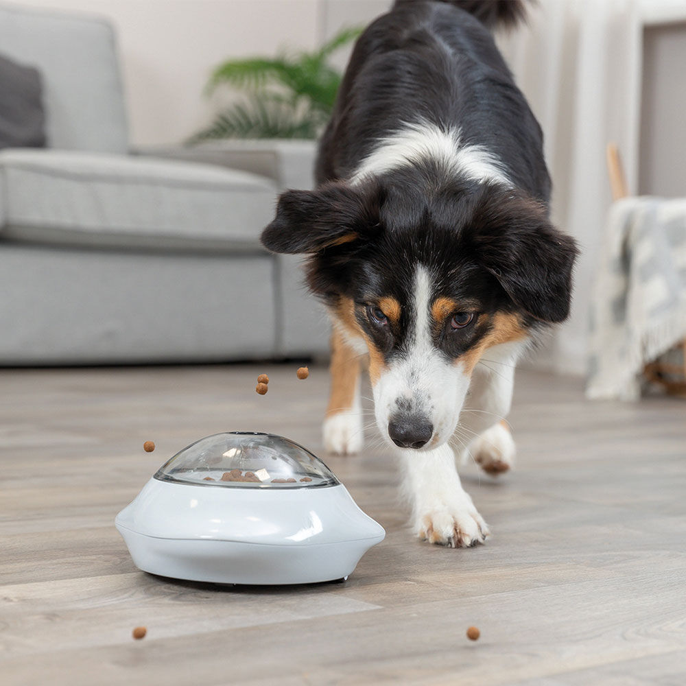 Hundespielzeug Snack Popper Bild 2