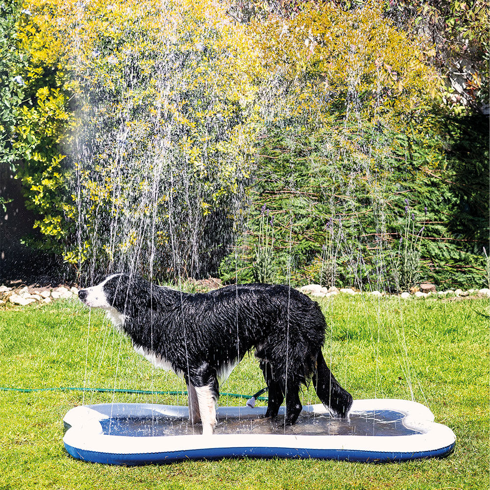 Wasserspielmatte Quapas! Bild 3
