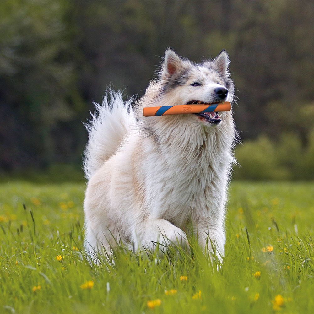 ChuckIt Ultra Fetch Stick Bild 3