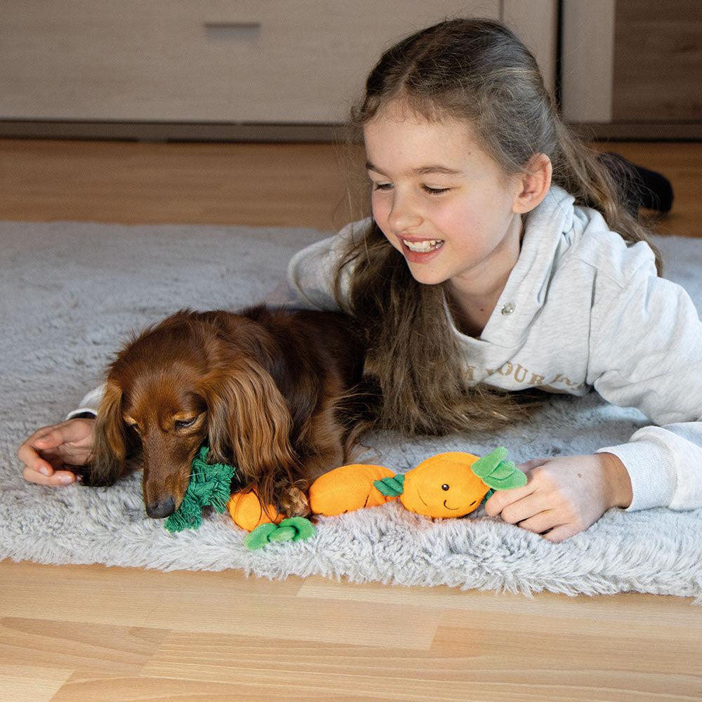 Plsch-Karotte mit Seil Bild 2