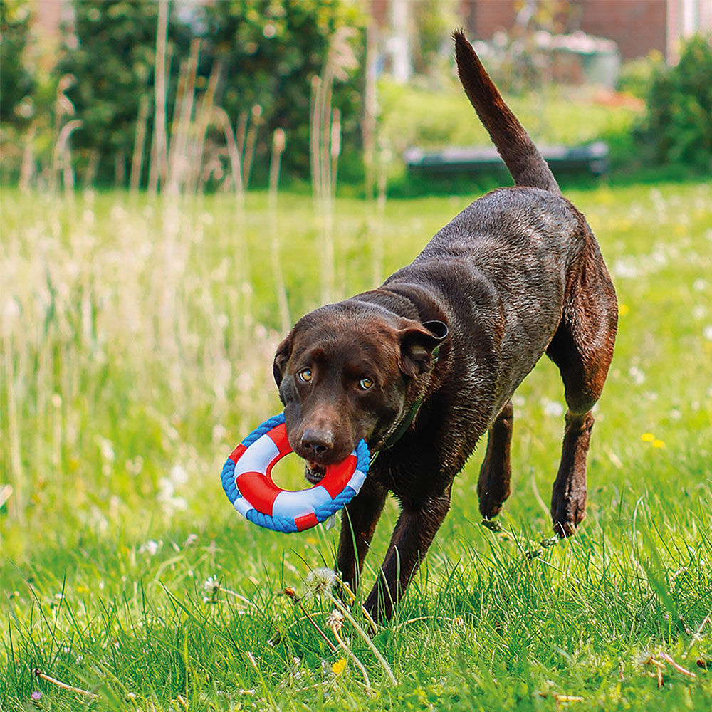 Nobby Nylon Wasserspielzeuge Bild 5