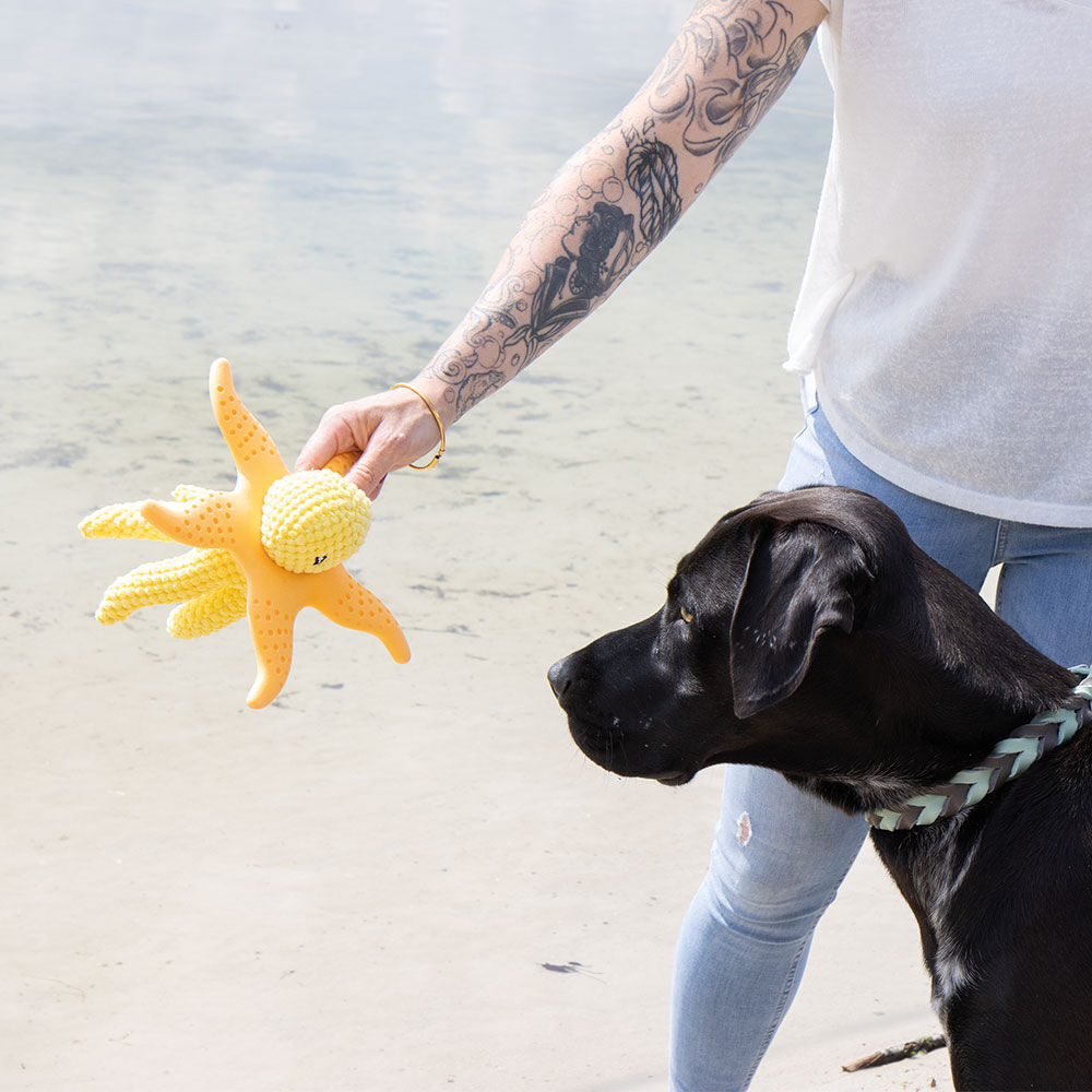 KIWI WALKER Oktopus & Seestern Bild 5