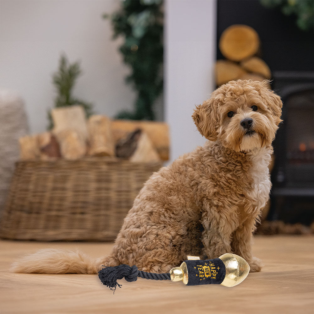 Beeztees Hundespielzeug Feuerwerk Rakete Bild 2