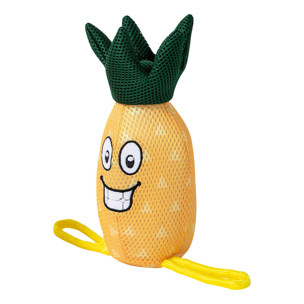 Thumbnail - FREEDOG Mesh-Wasserspielzeug Ananas und Melone [Wassermelone]