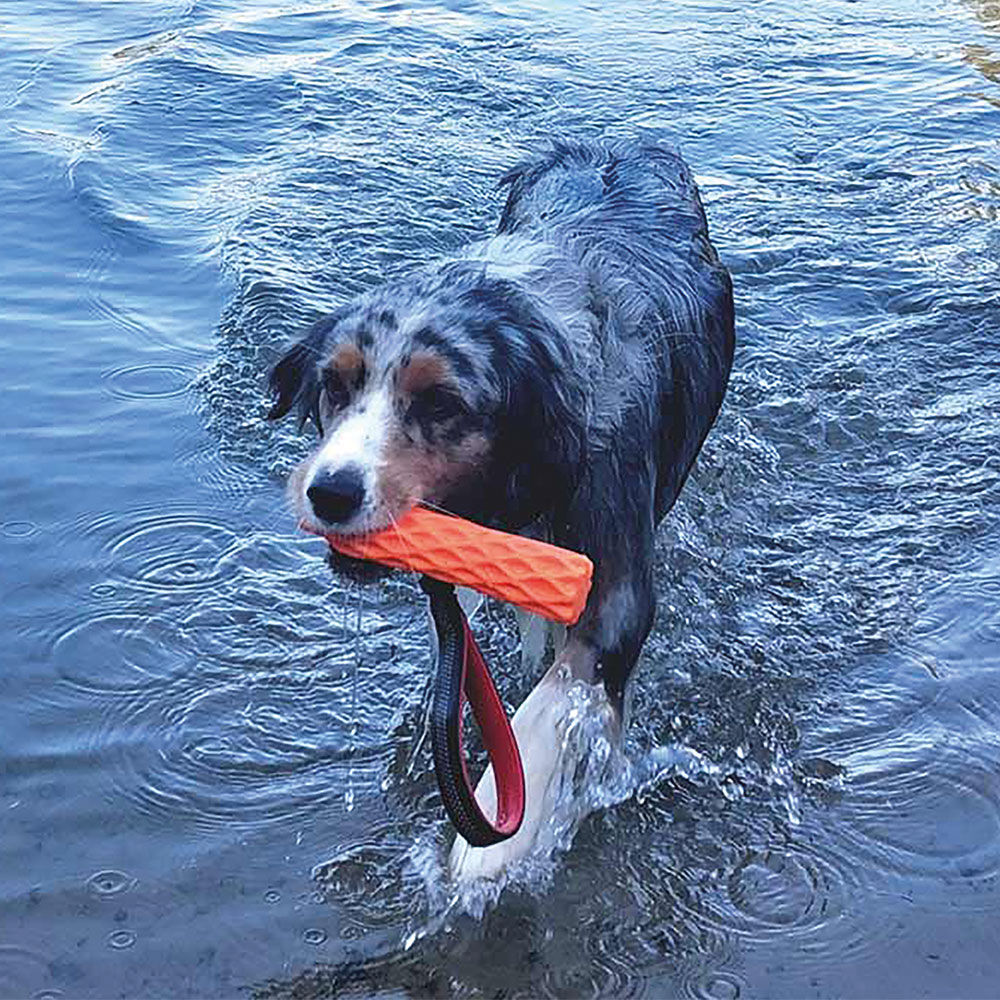 Nobby TPE-Hundespielzeug mit Schlaufe und Ball oder Stick Bild 4