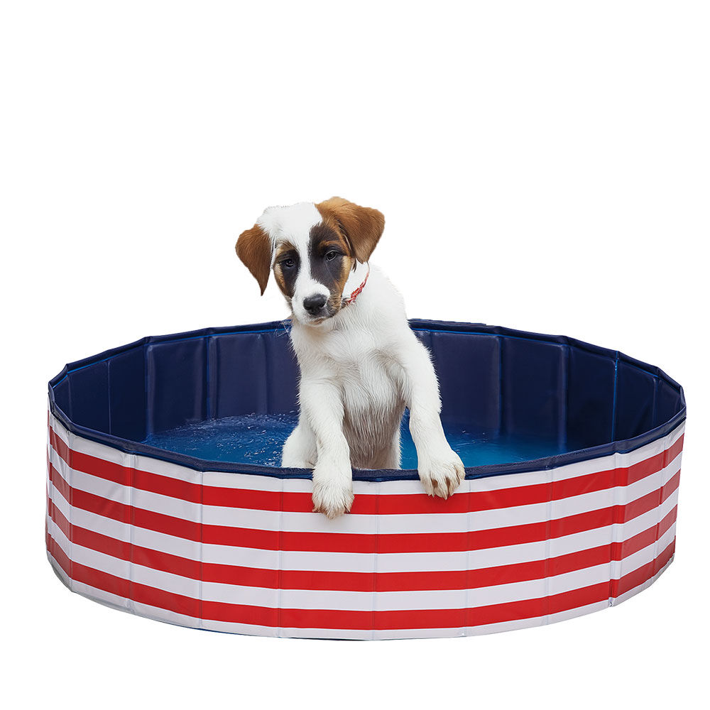 Thumbnail - Beeztees Hundepool Doggy Dip [160cm]