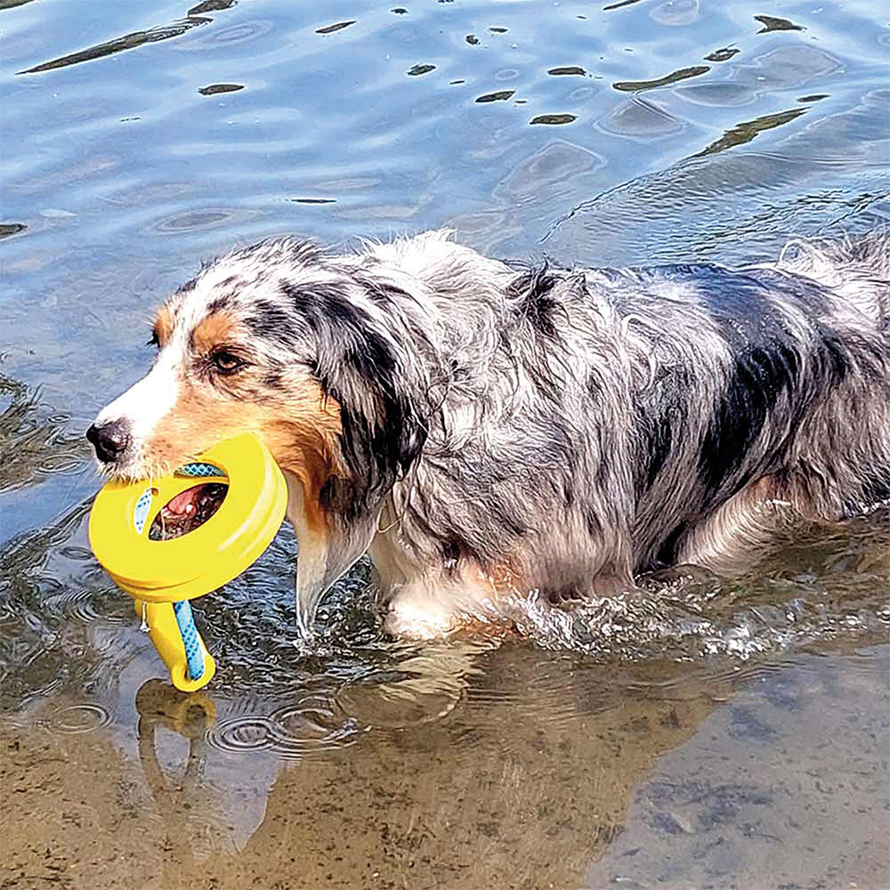Nobby Hunde-Wasserspielzeug Ring mit Griff Bild 2