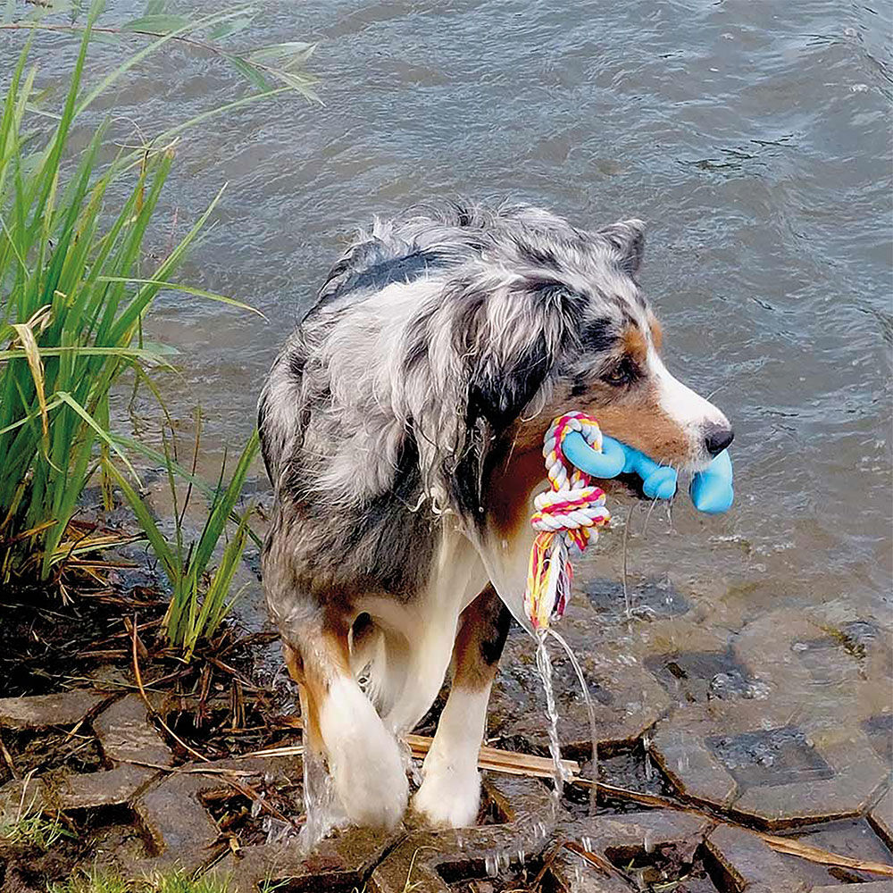 Nobby Hunde-Wasserspielzeug Anker mit Seil Bild 2