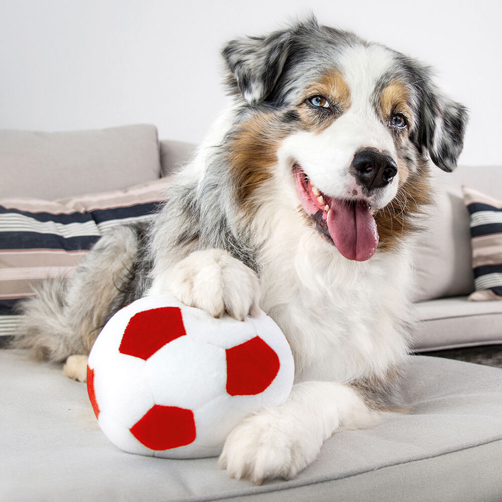 Indoor-Fussball Bild 2