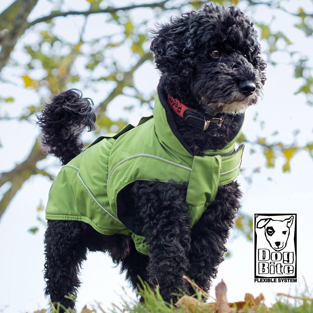 DogBite Regenjacke, Farbe: Grün Bild 2