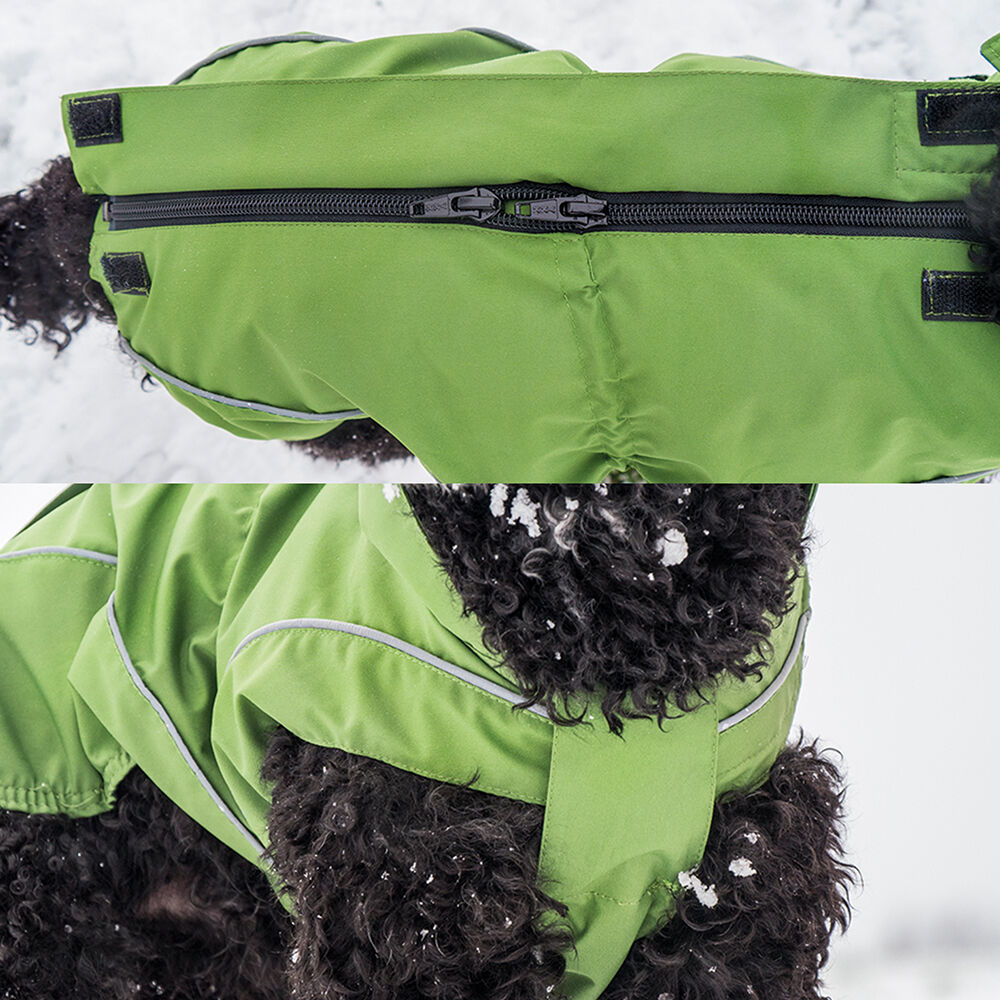 DogBite Regenjacke, Farbe: Grün Bild 3