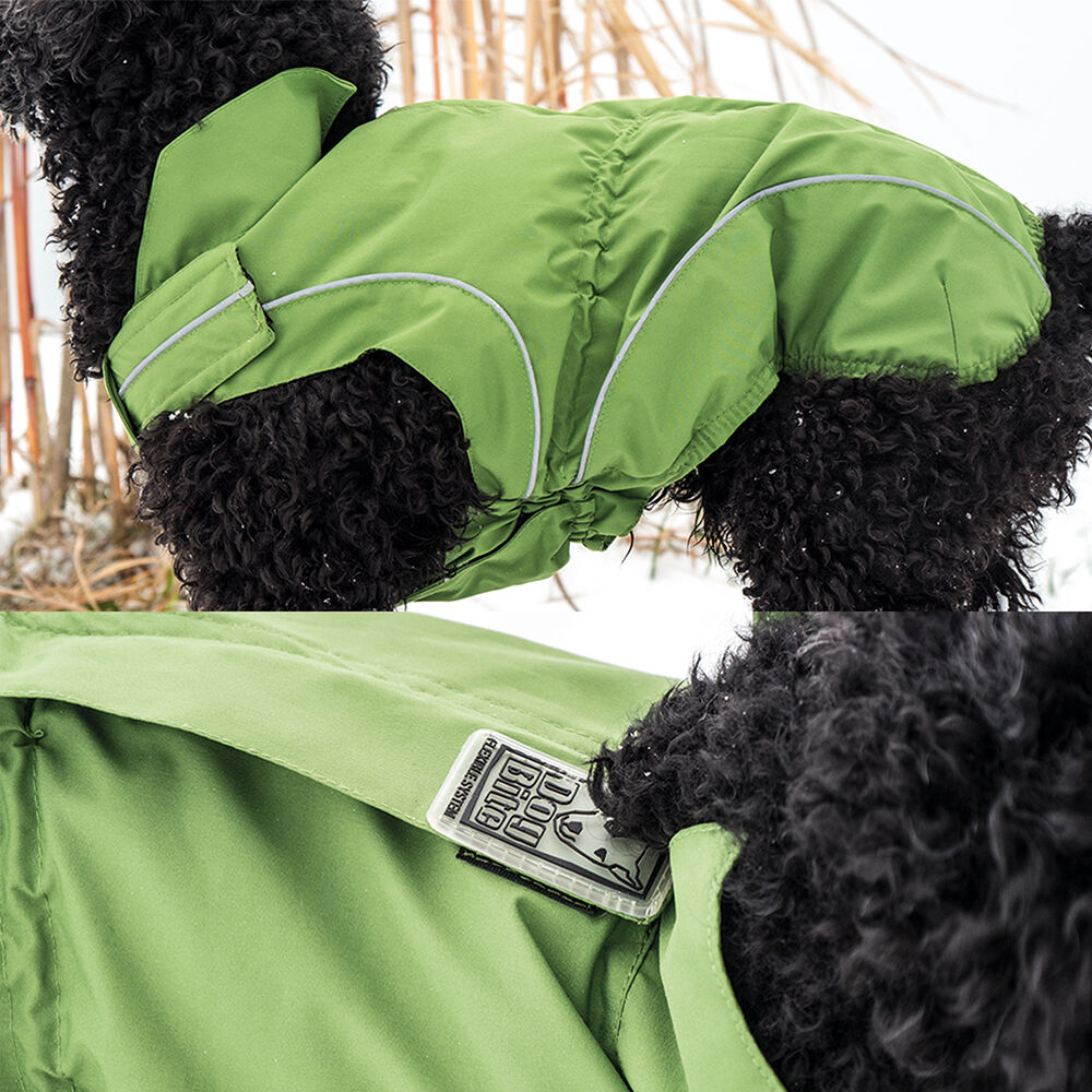 DogBite Regenjacke, Farbe: Grün Bild 4