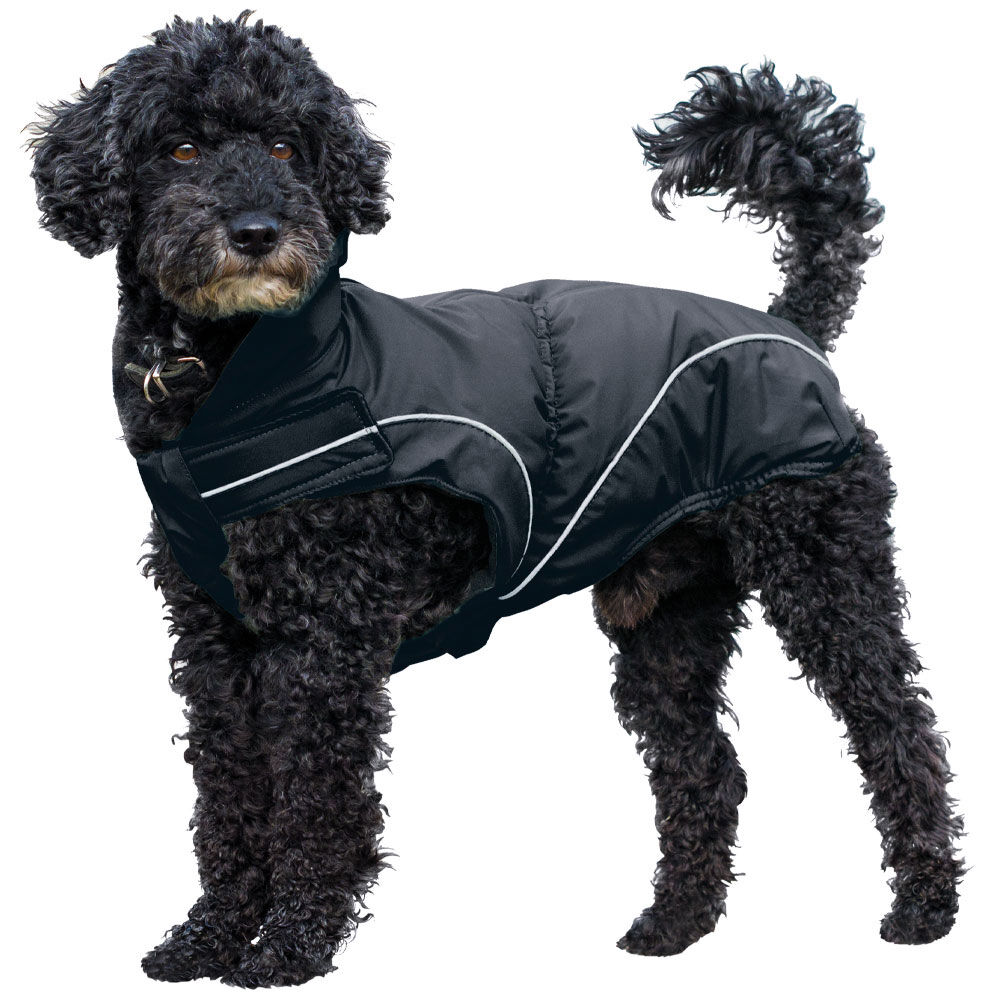 Schecker - DogBite Regenjacke, Farbe: Schwarz [30cm]