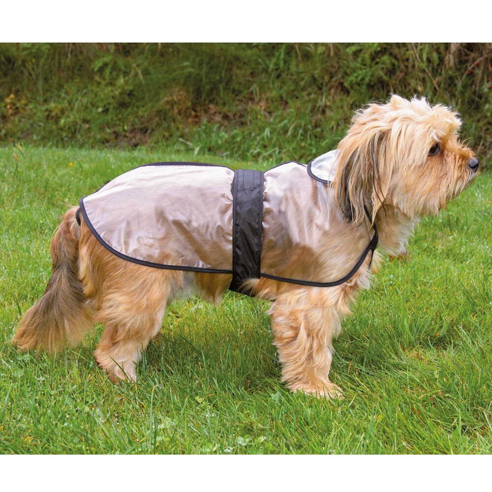 Transparente Hundejacke Bild 4