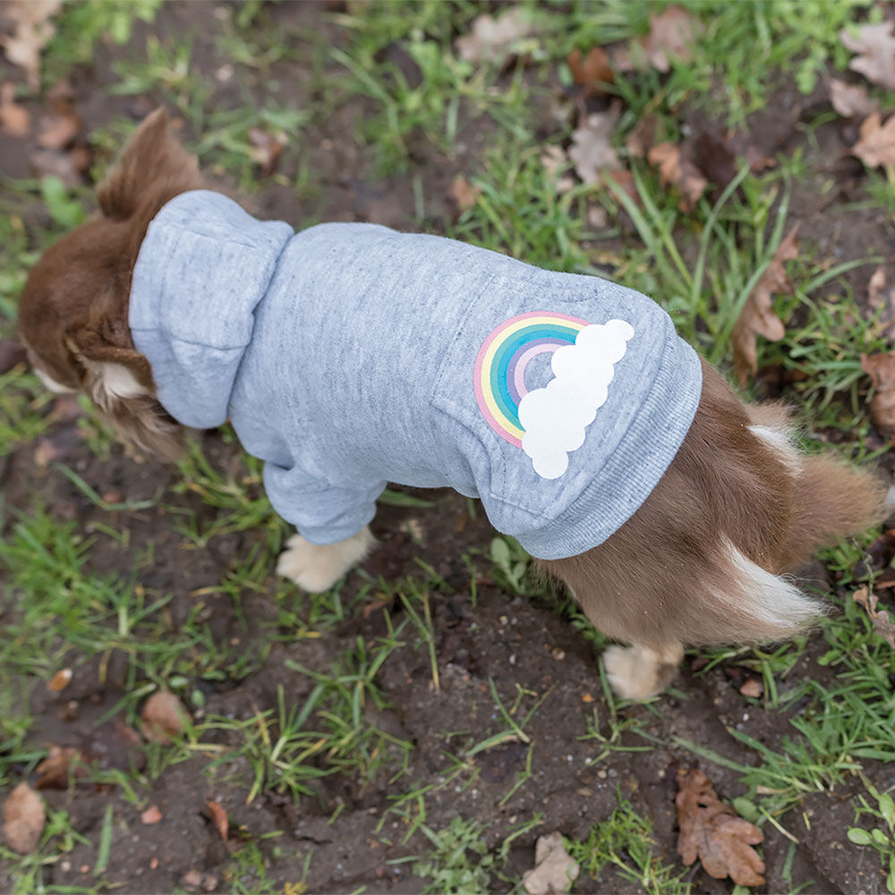 Trixie Hundepullover Rainbow Falls Bild 4