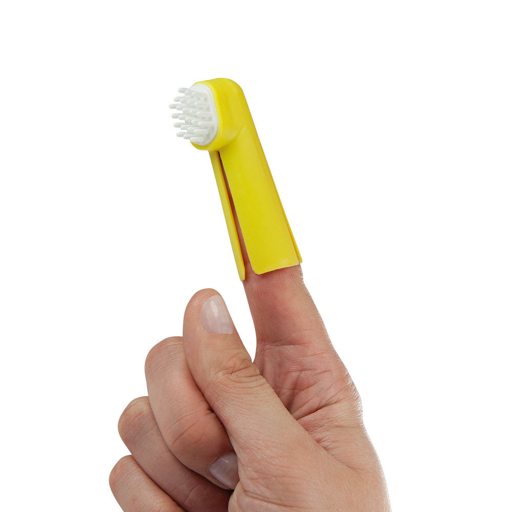 Finger-Zahnbürsten-Set Bild 3