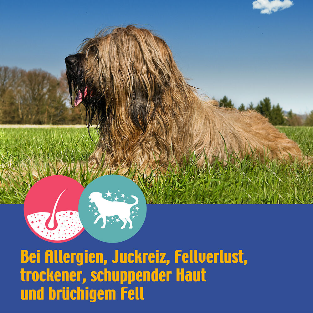 Nutrizeutikum - Fell & Haut - Bild 4