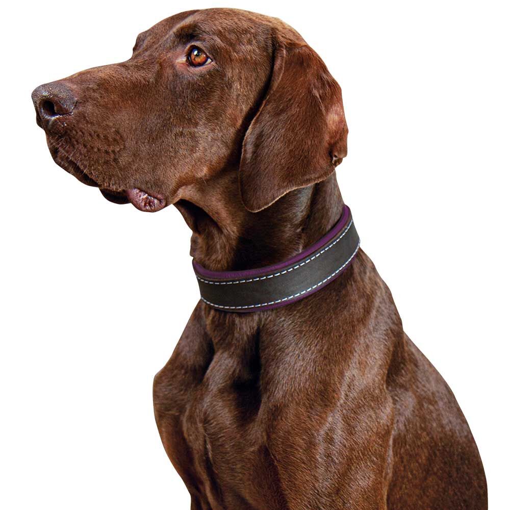 Schecker Hunde-Halsband Moorfeuer, Farbe: braun-violett Bild 3
