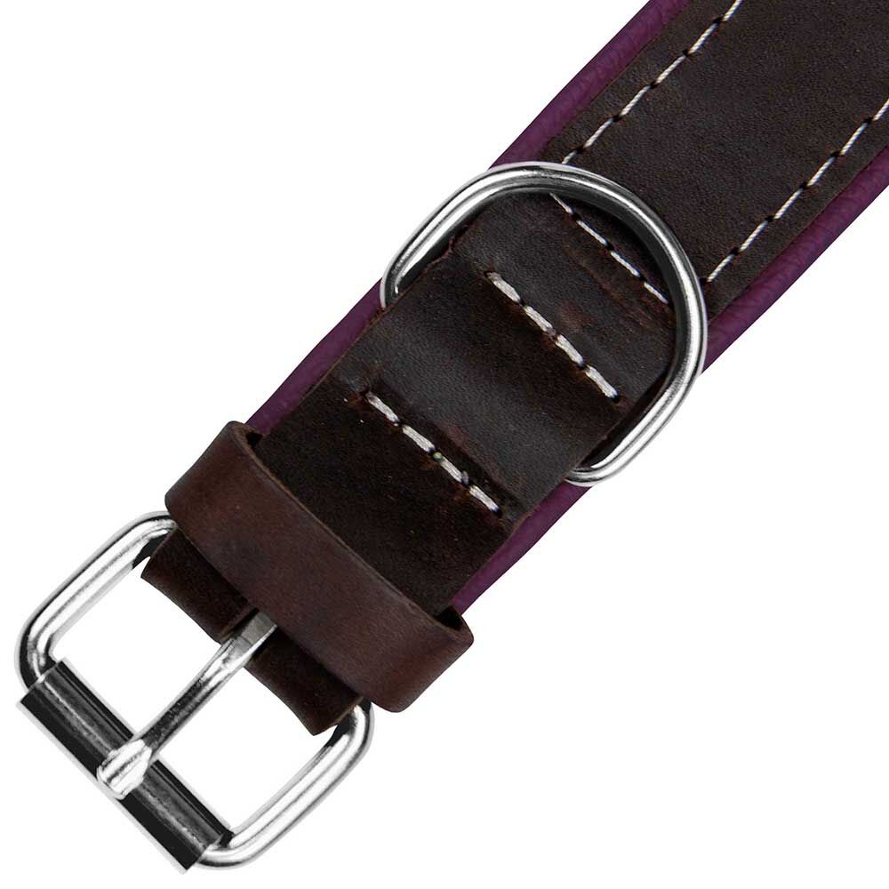 Schecker Hunde-Halsband Moorfeuer, Farbe: braun-violett Bild 4