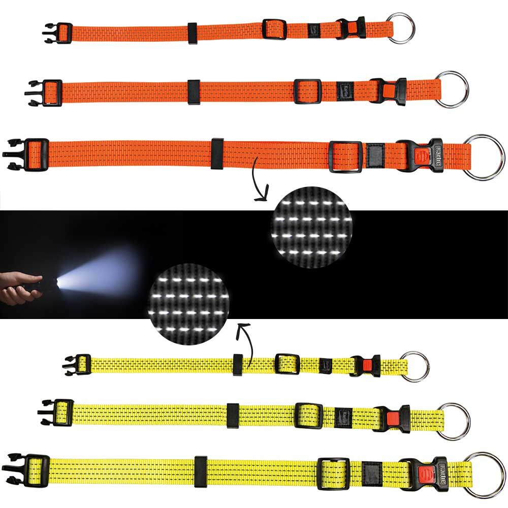 Neon & Reflex Hunde-Halsband Bild 2