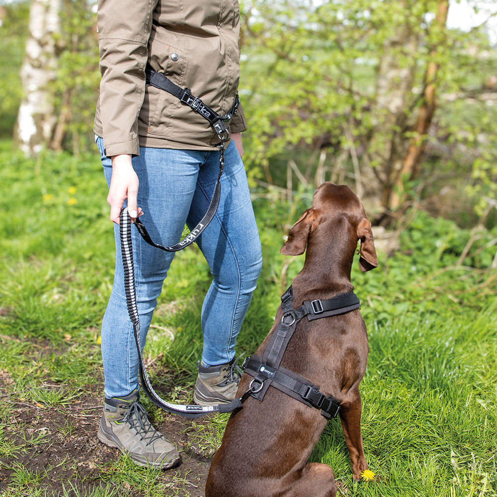 Rukka pets Hike belt+leash Bild 5