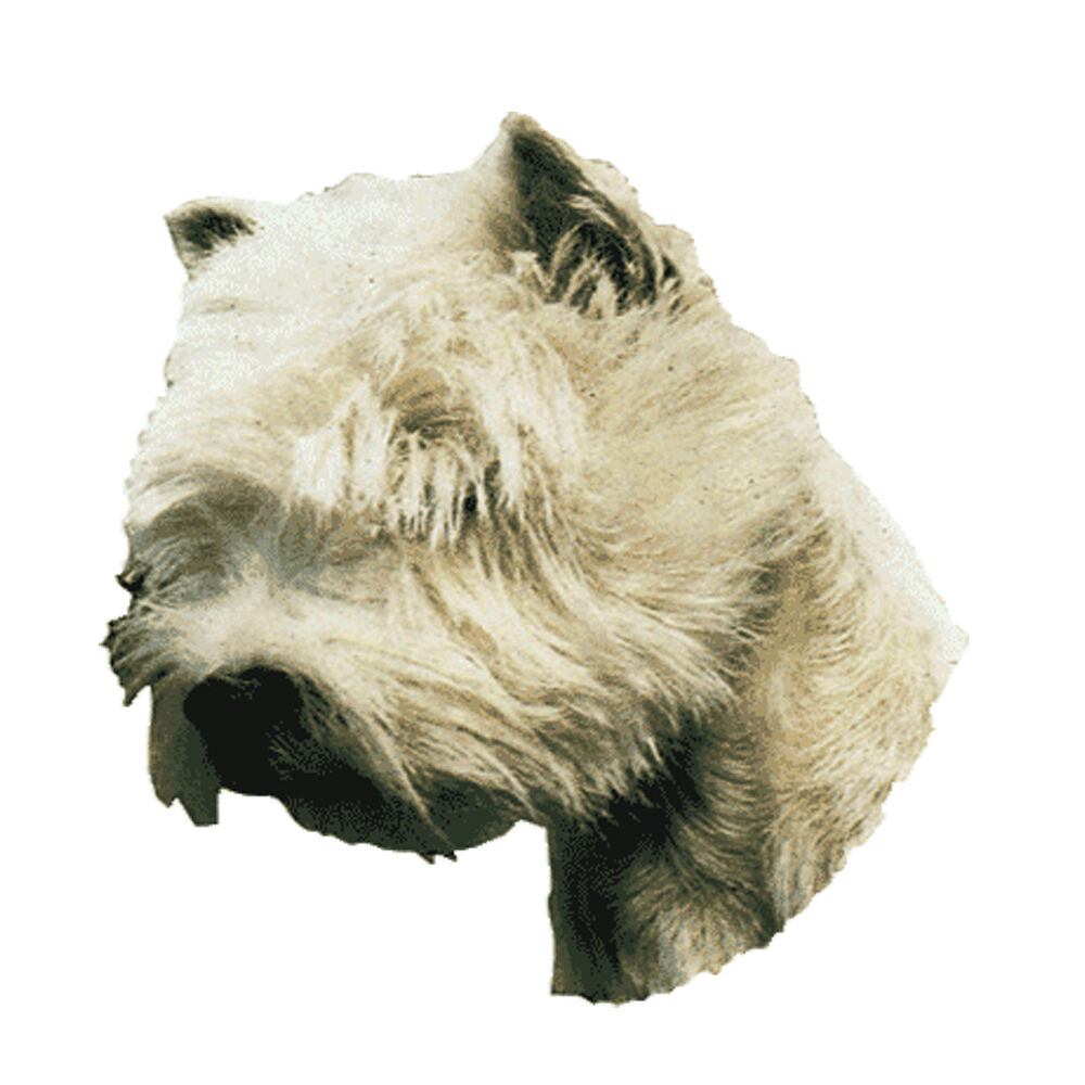 Kleine Aufkleber 4er Packung [West Highland White Terrier, Kopf]