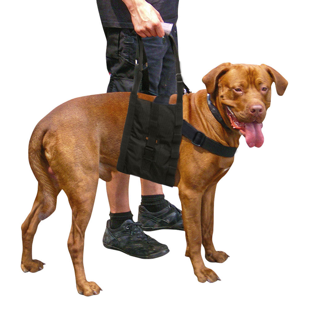 Schecker - Beppo® Hunde-Gehhilfe One-Size
