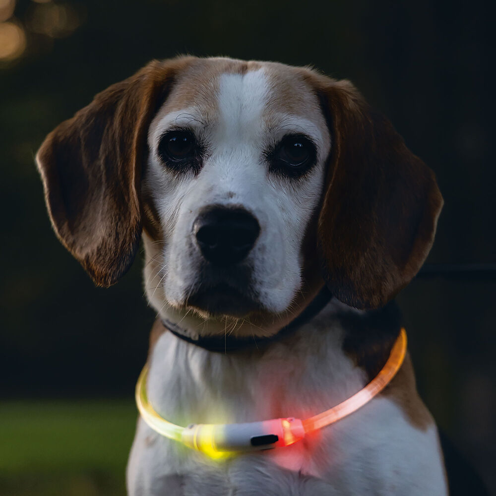 LED kaufen Leuchtschlauch - bei