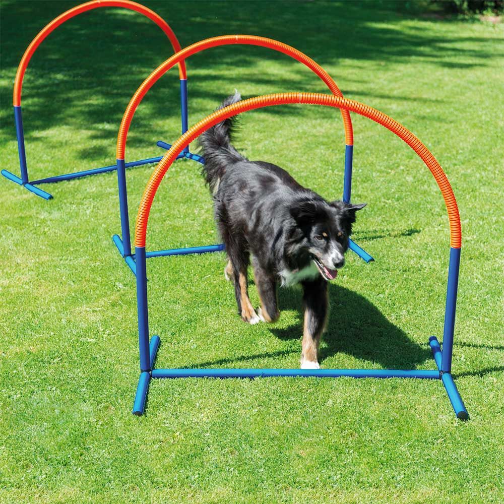 Procyon Hoopers Hunde Agility-Bogen Bild 2
