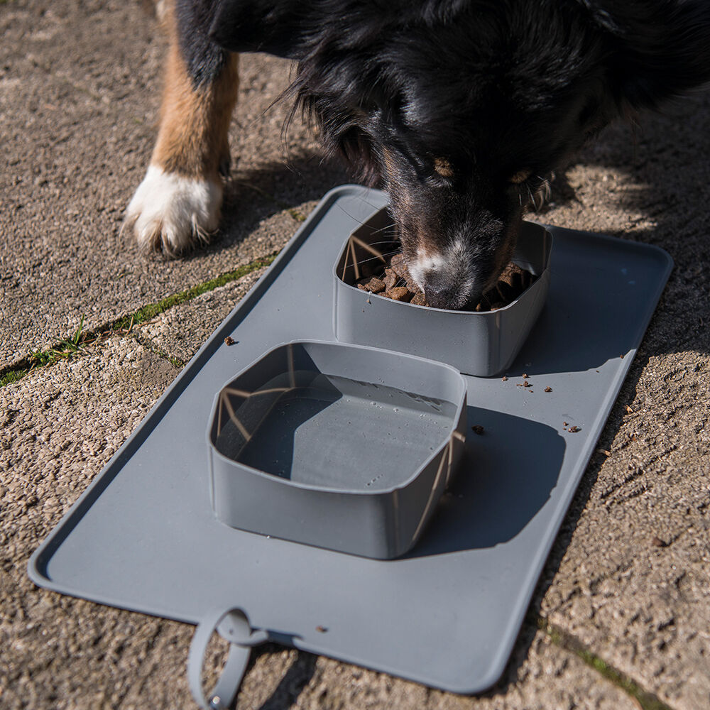 Aufrollbares Hunde FressnapfSet