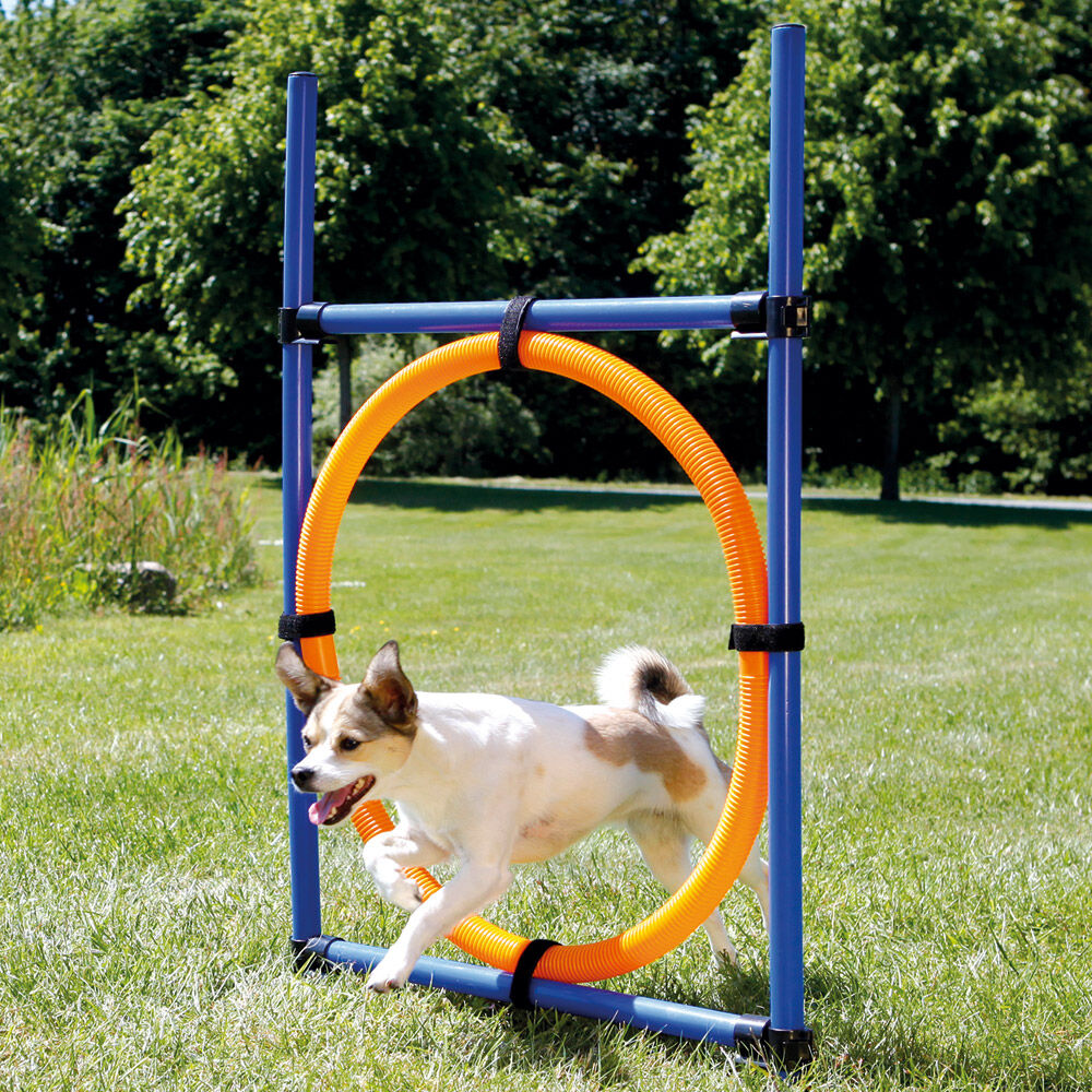 Agility-Reifen-Set Bild 2