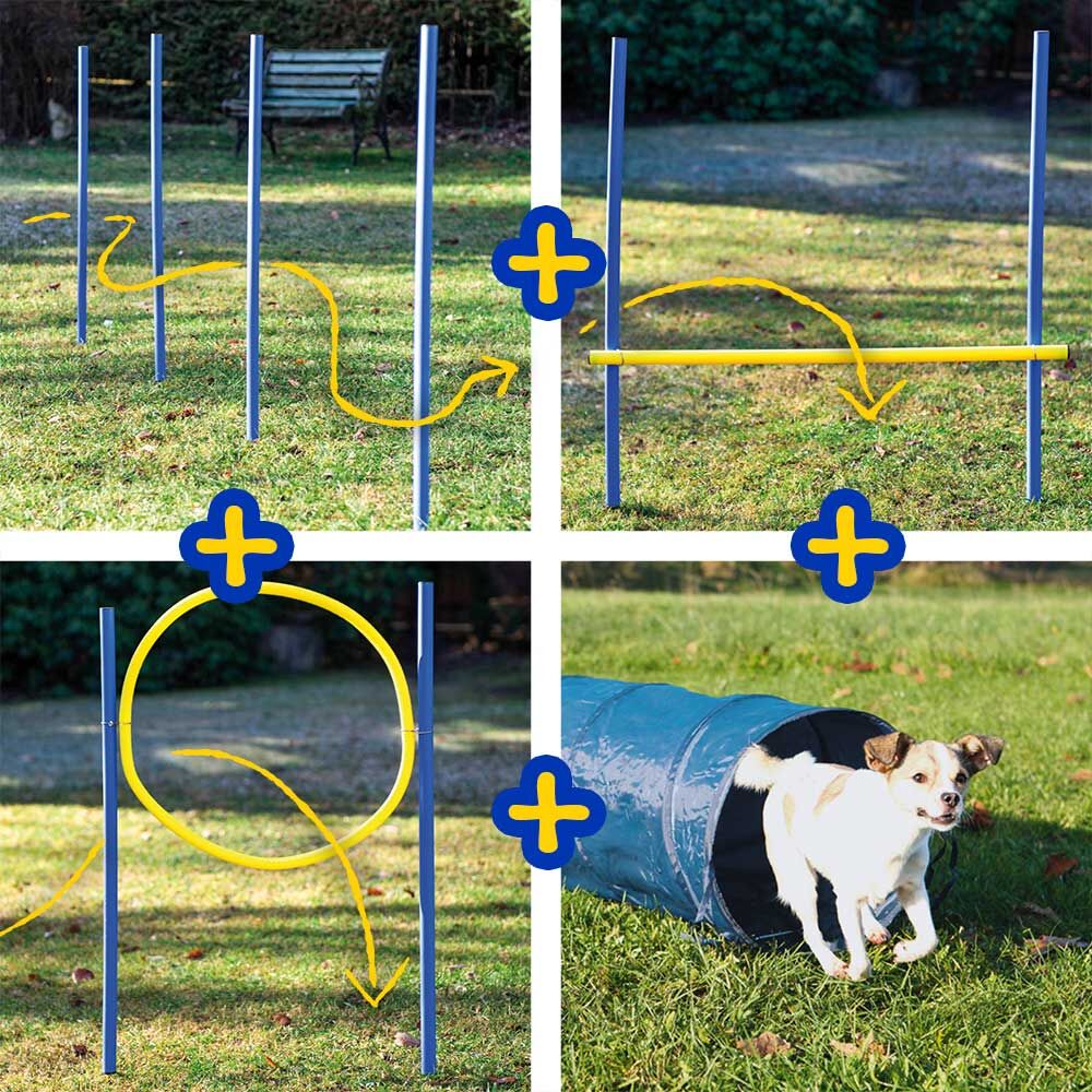 Procyon Dog Agility Set S/M Bild 2