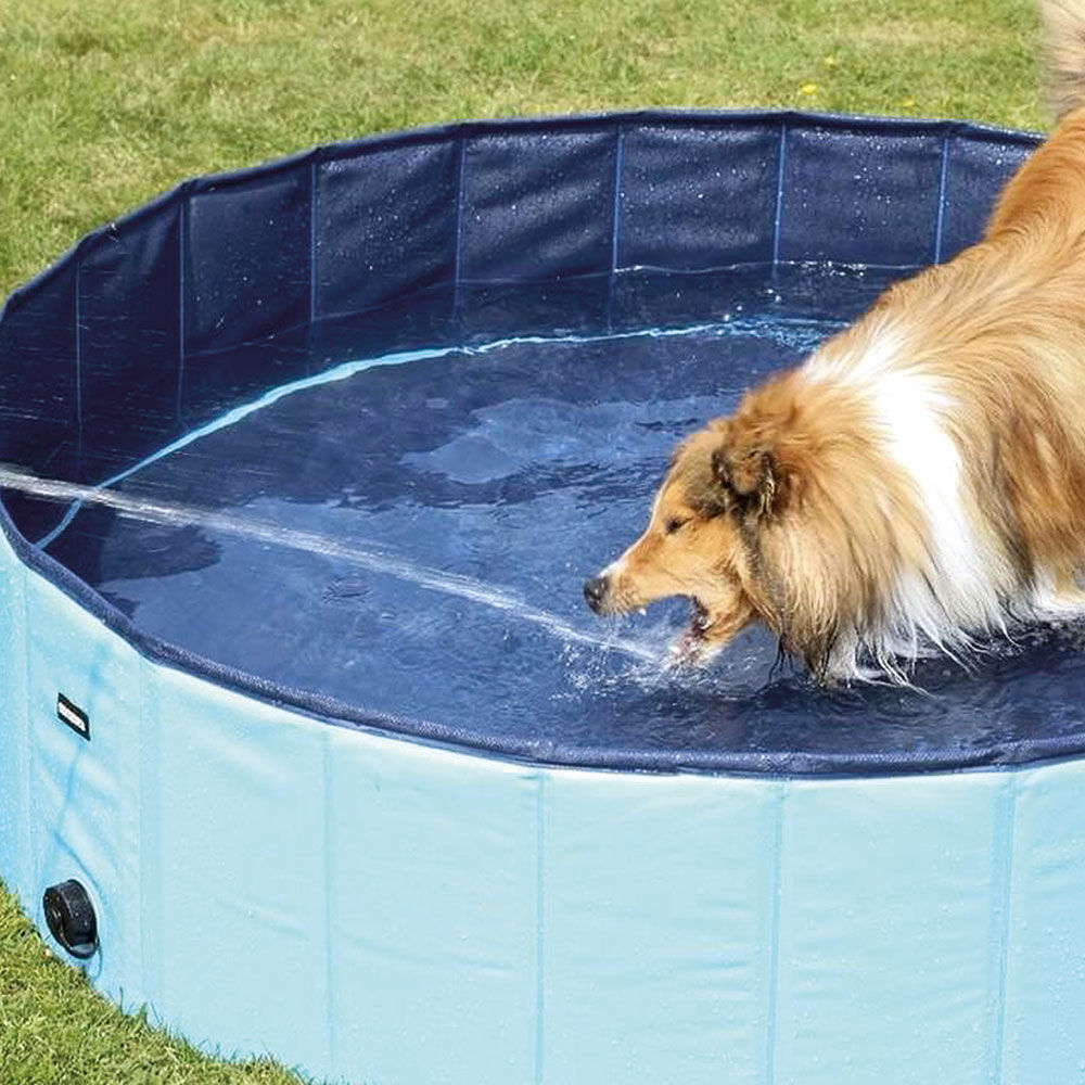 Schecker Doggy-Power Pool Bild 2
