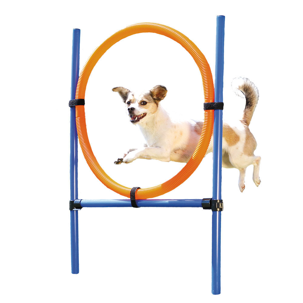 Agility-Reifen-Set