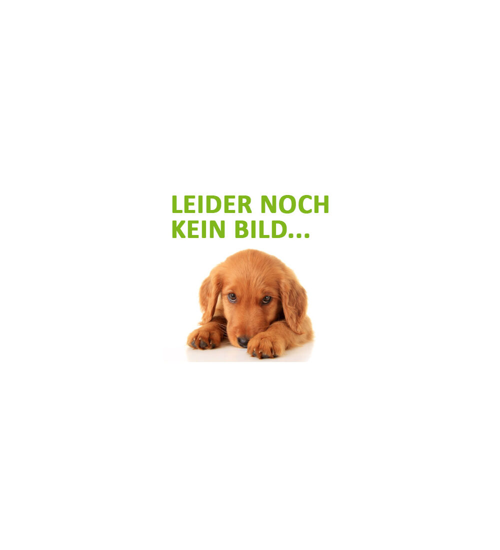 Denta Hundesnack Fun Ice Pop